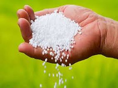 تصویر 2 از خرید و قیمت کود شیمیایی نیترات + فروش عمده